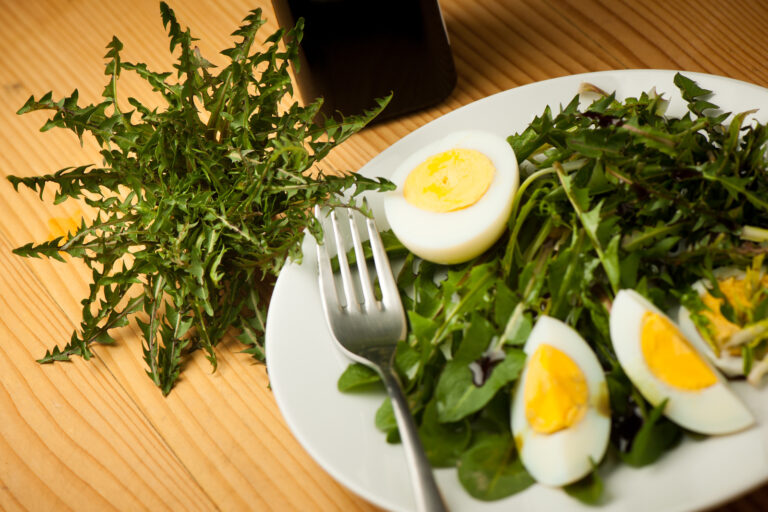 Dandelion salad with smoked bacon recipe image